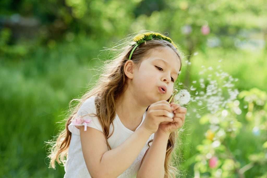 girl blowing dandelions flower selective focus. Allergy season
